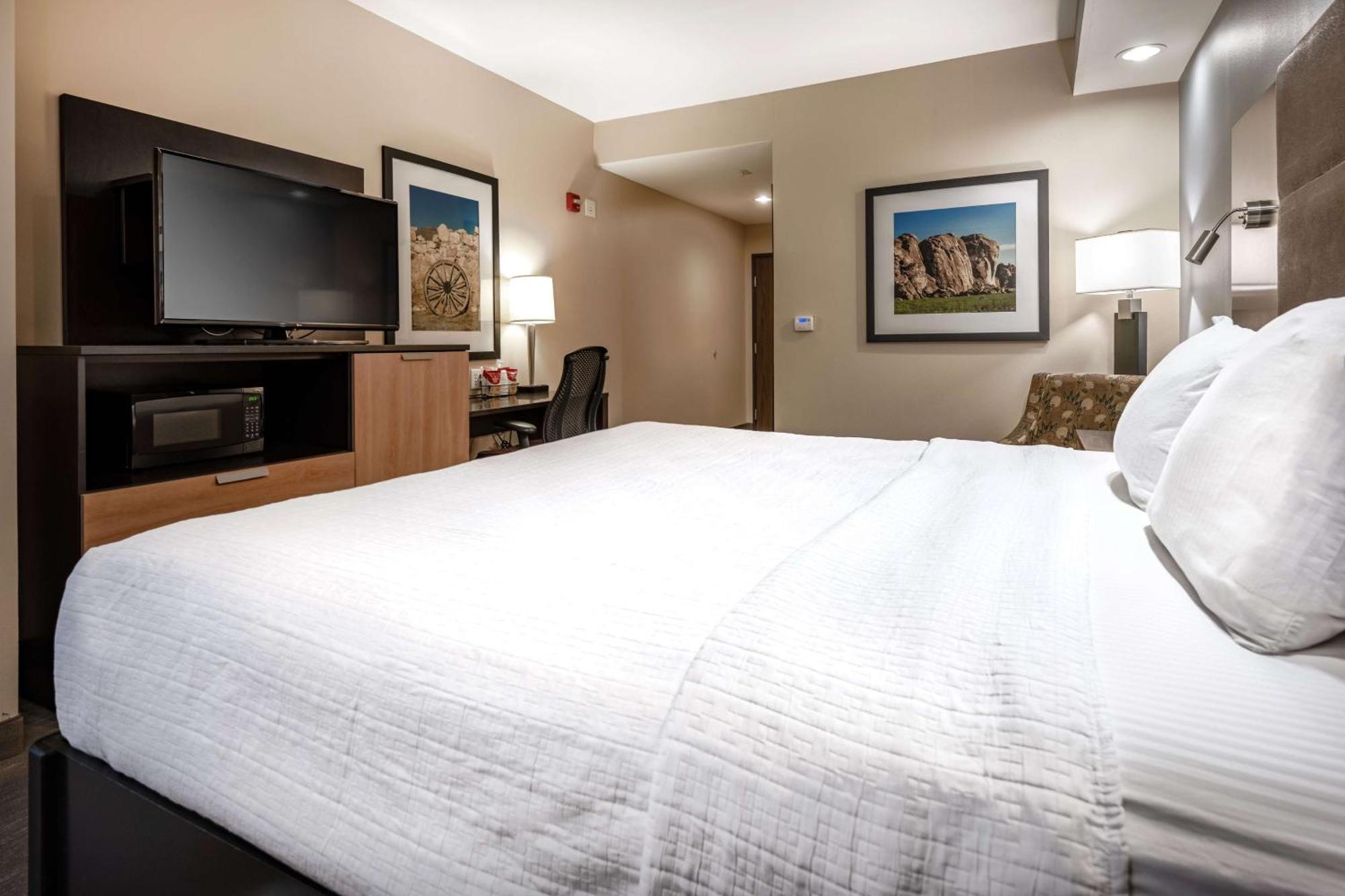 Western Premier College Station Hotel 3*